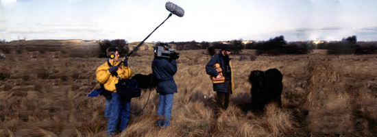 Somotech - ENG 5uurShow, Natuur momenten in Zeeland met cameraman Dick Hoevenaars